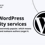 Best wordpress security services