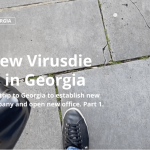 The new Virusdie office in Georgia. Part 1.