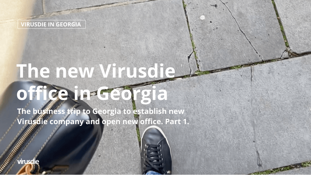 The new Virusdie office in Georgia. Part 1.