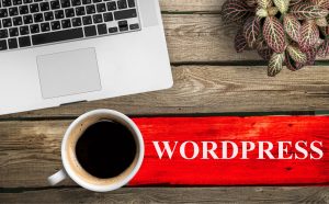 WordPress statistics 02 - Virusdie