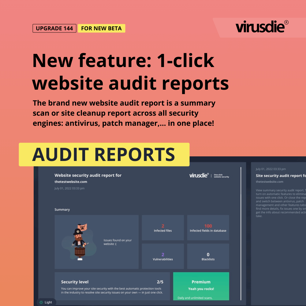 Virusdie security audit