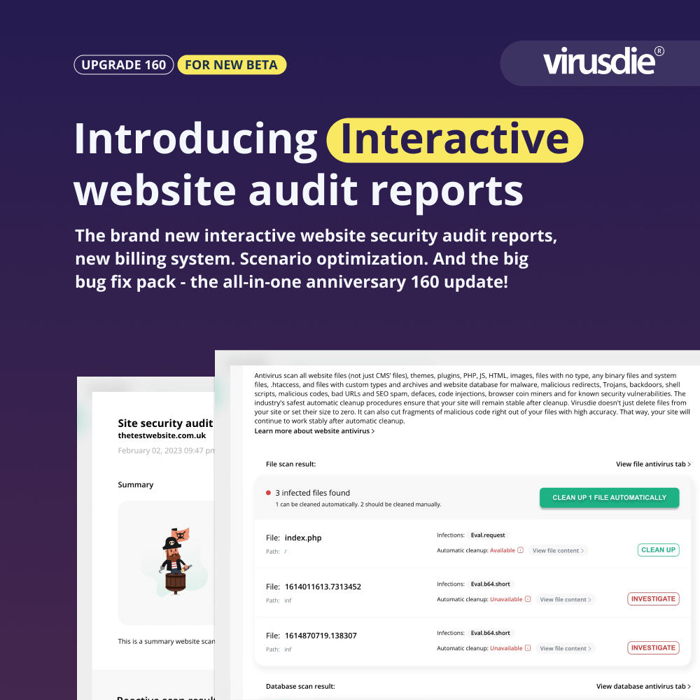 Interactive website security audit reports